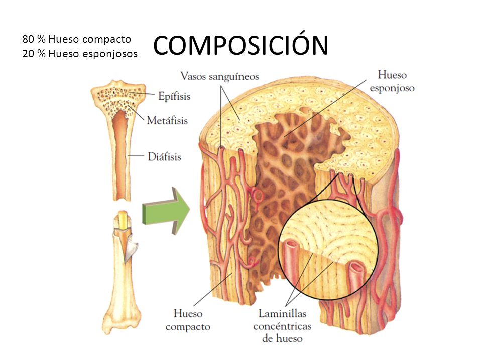 IHMC Public Cmaps (2)